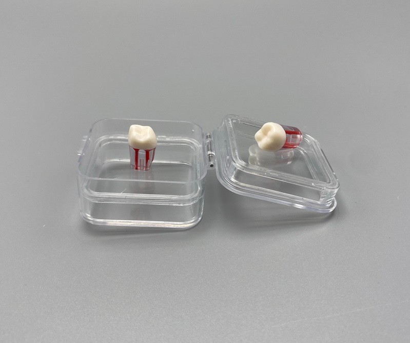 10/90pcs Denture Teeth Case Membrane Container Hinged Jewelry Crown Display Box