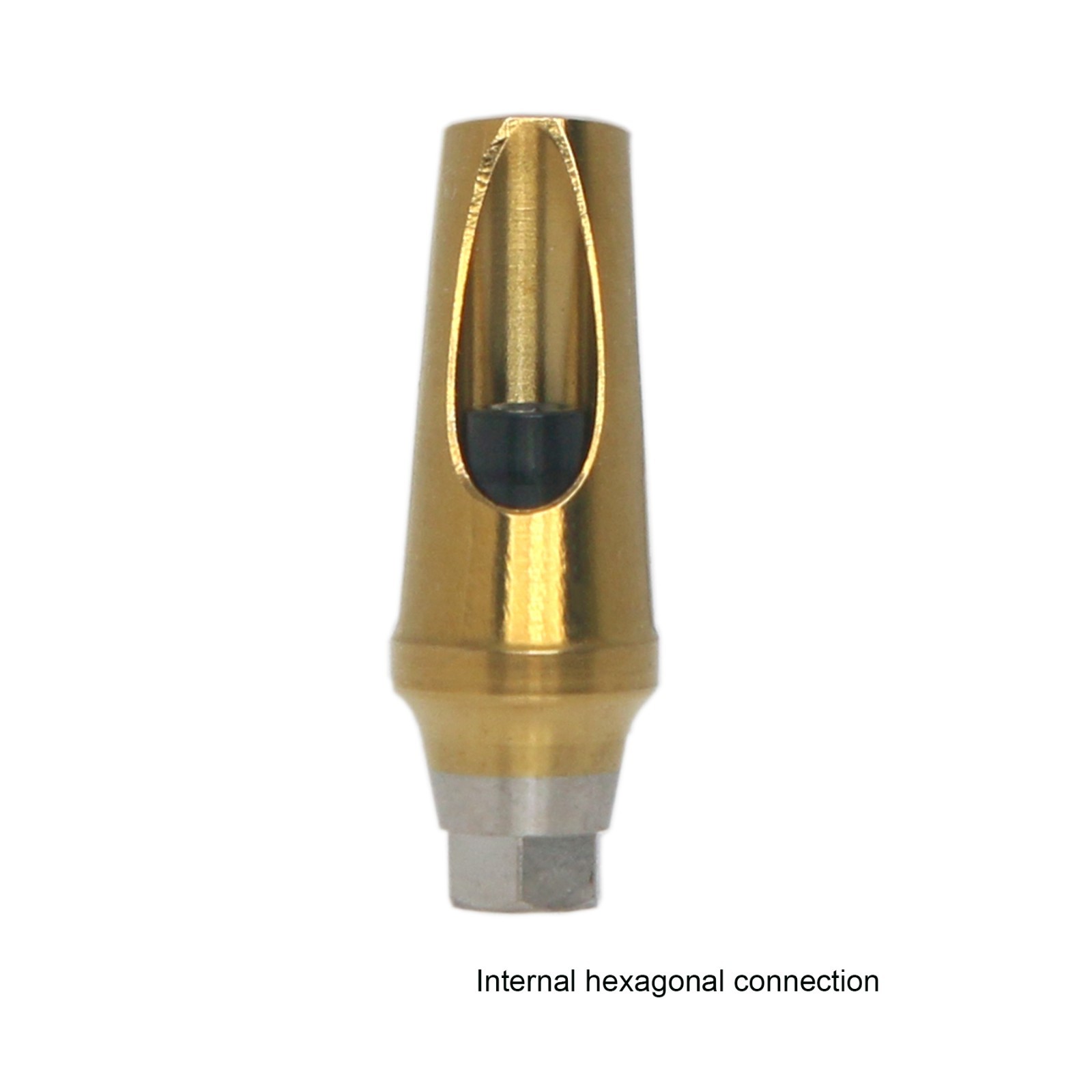US Ti Dental Angled Abutment 17° Hex fits HIOSSEN DIO DFII Neo Biotech Implants