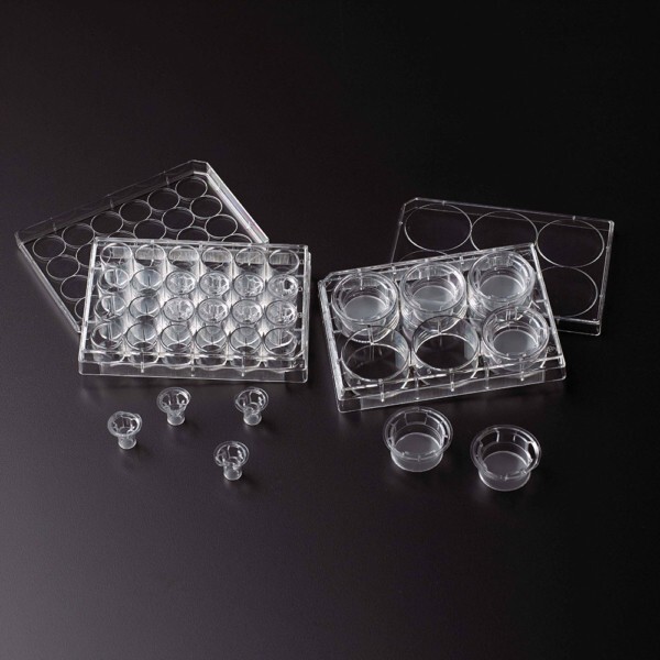 CELLTREAT Permeable Cell Culture Inserts, 12 Well Plate,PET,0.1?m, Ster #230620E