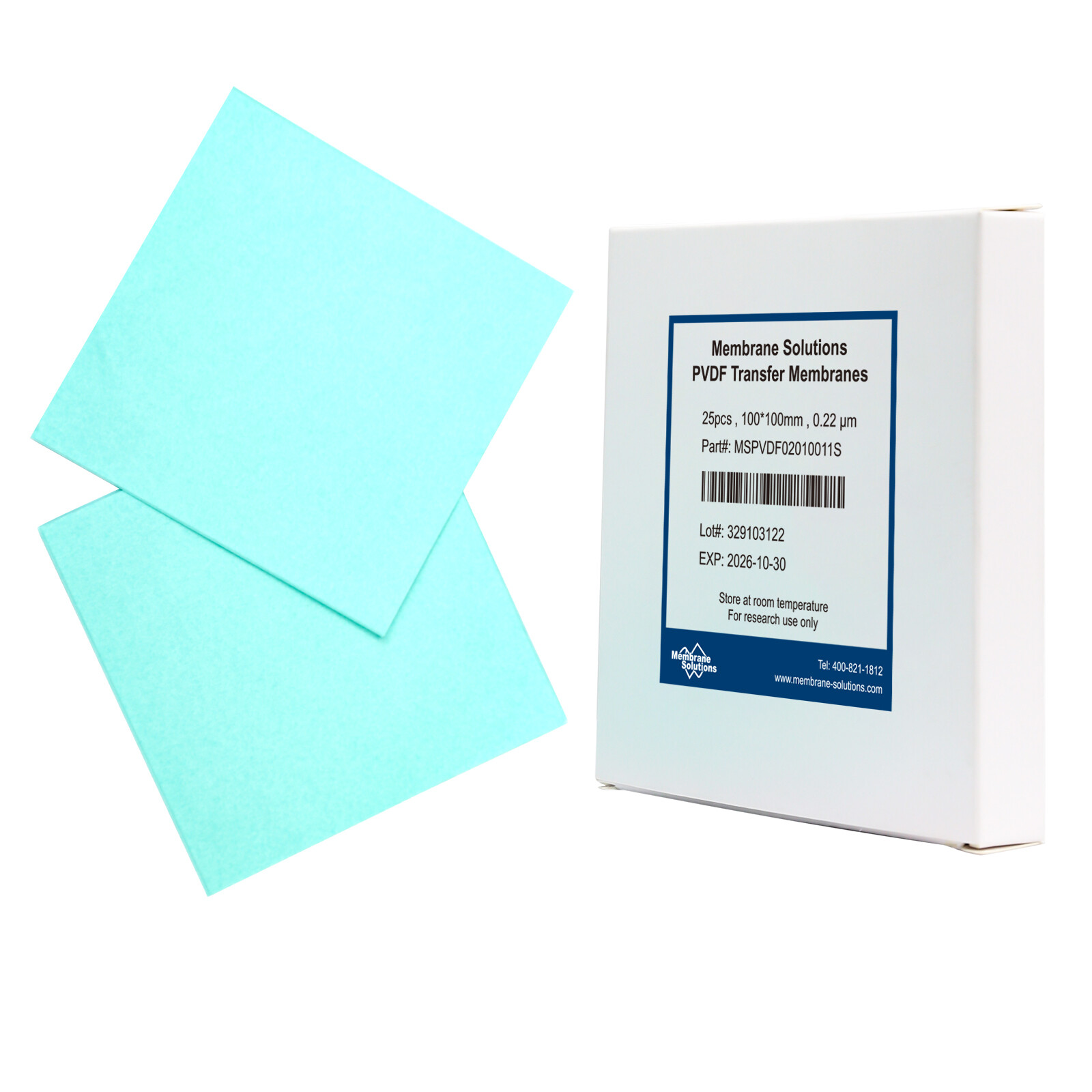PVDF Transfer Membrane 0.22μm,100x100mm,Hydrophobic,for Western Blot&Lab Use