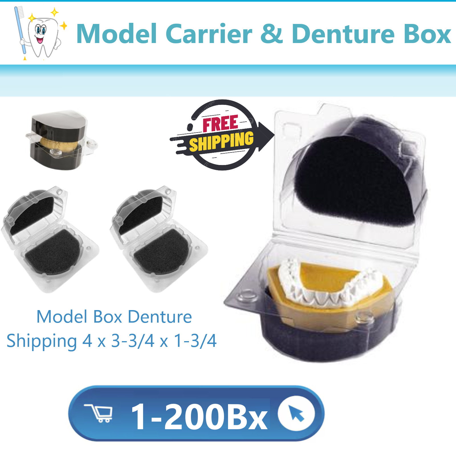 Model & Denture Box, Clear Plastic with Black Sponge, Orho Dental Lab 1-100/Bx