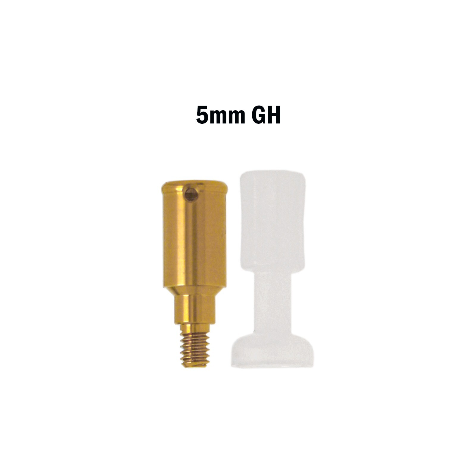 Dental Overdenture Locator Abutment for ZIMMER BEGO MIS Screw-Vent 3.5 Platform