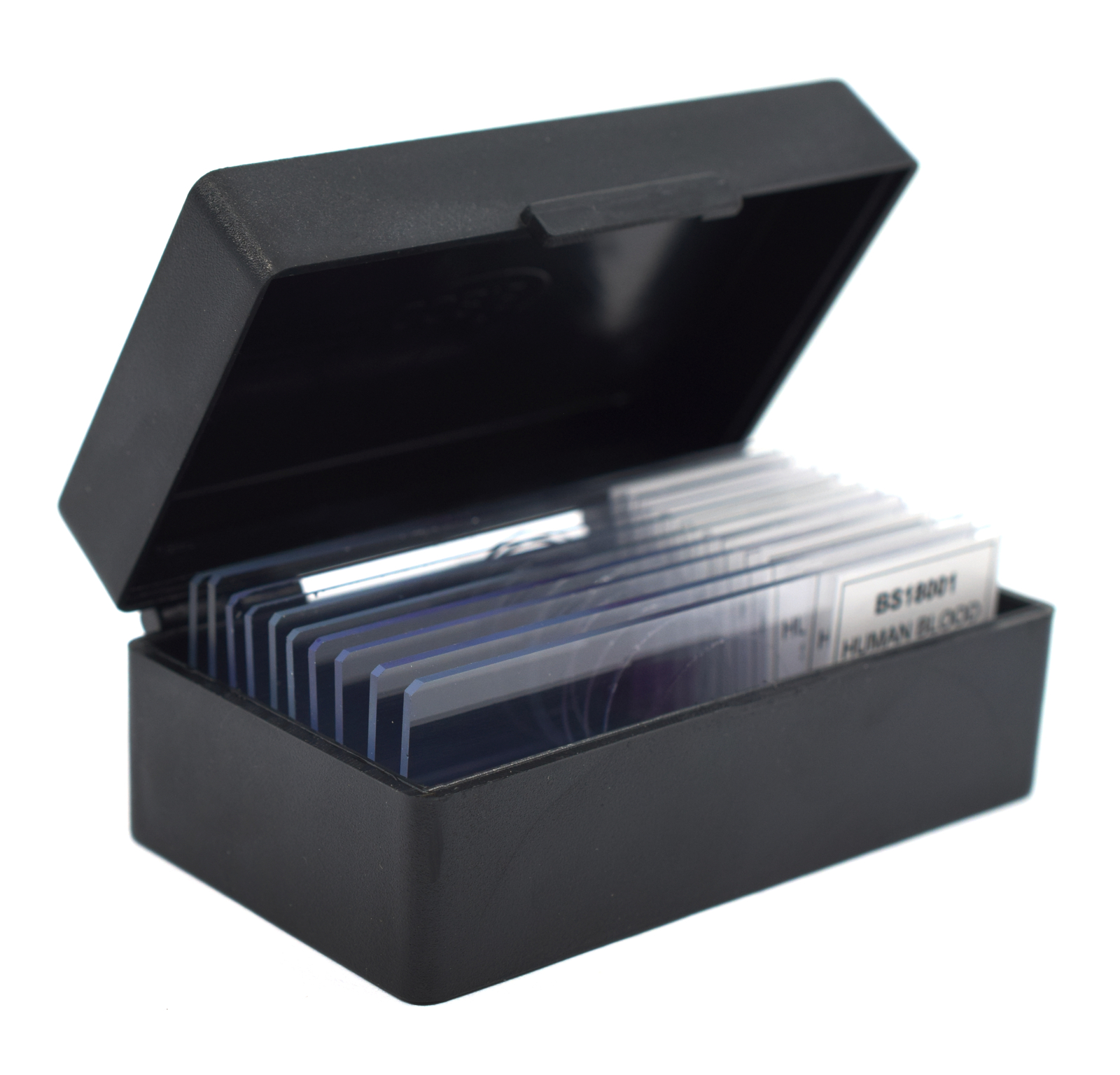 10PK Lactobacillus Acidophilus, Gram Positive – Microscope Slides – 75x25mm –