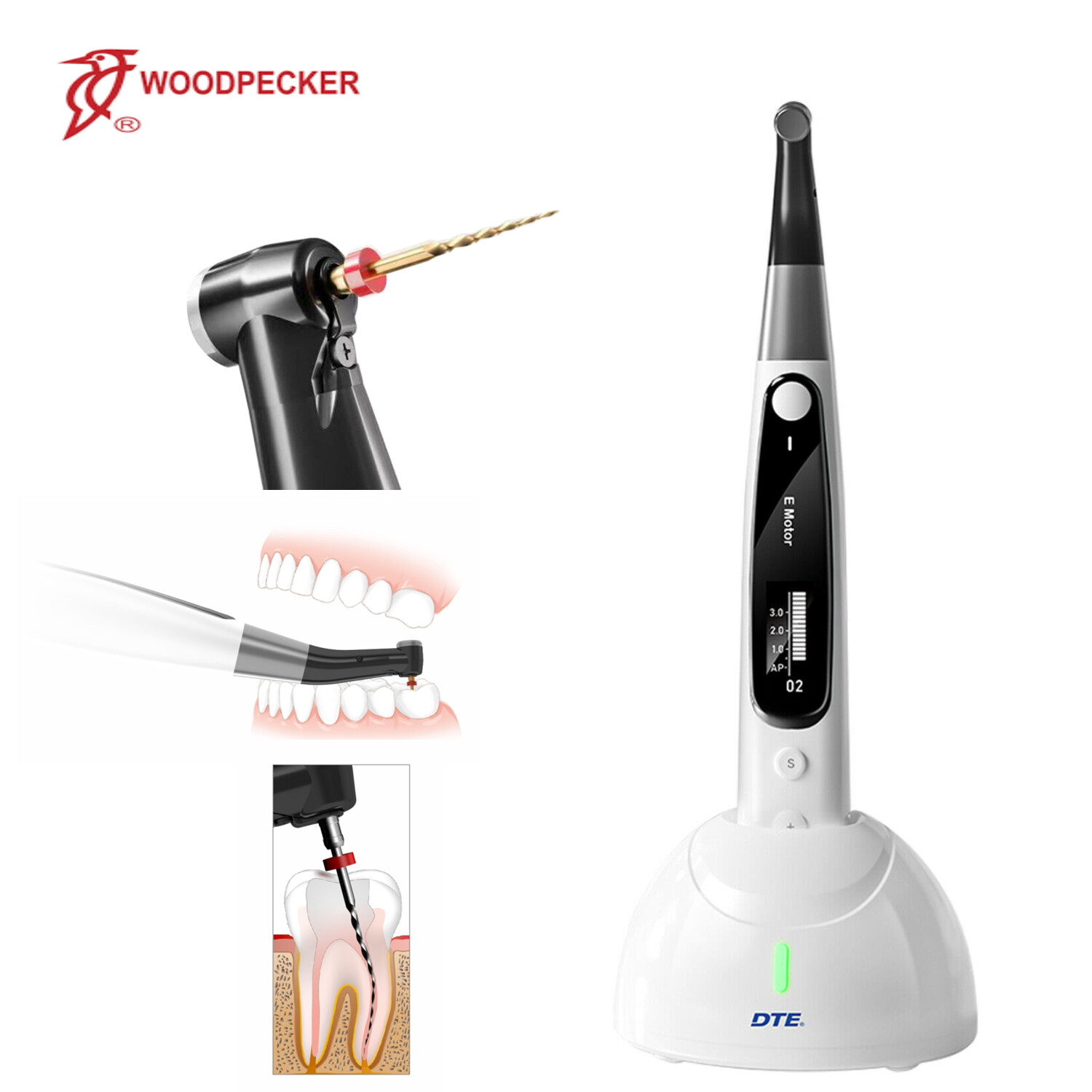 Woodpecker Dental Cordlesss Endo Motor Auto EndoMatic with Apex Locator 1000rpm