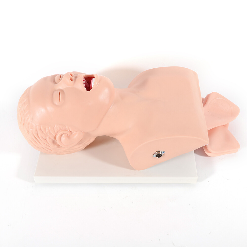 Airway Management Model Healthcare Training Airway Manikin Patient Simulator USA