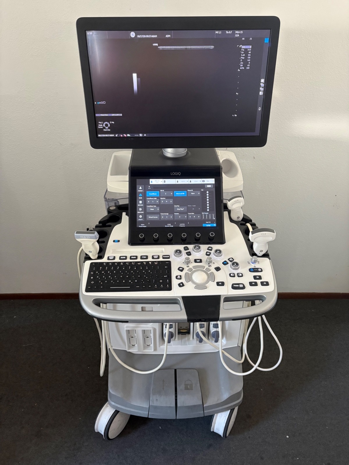 GE Logiq E10 Ultrasound Machine with C1-6-D, C2-9-D, & ML6-15-D GE Probes