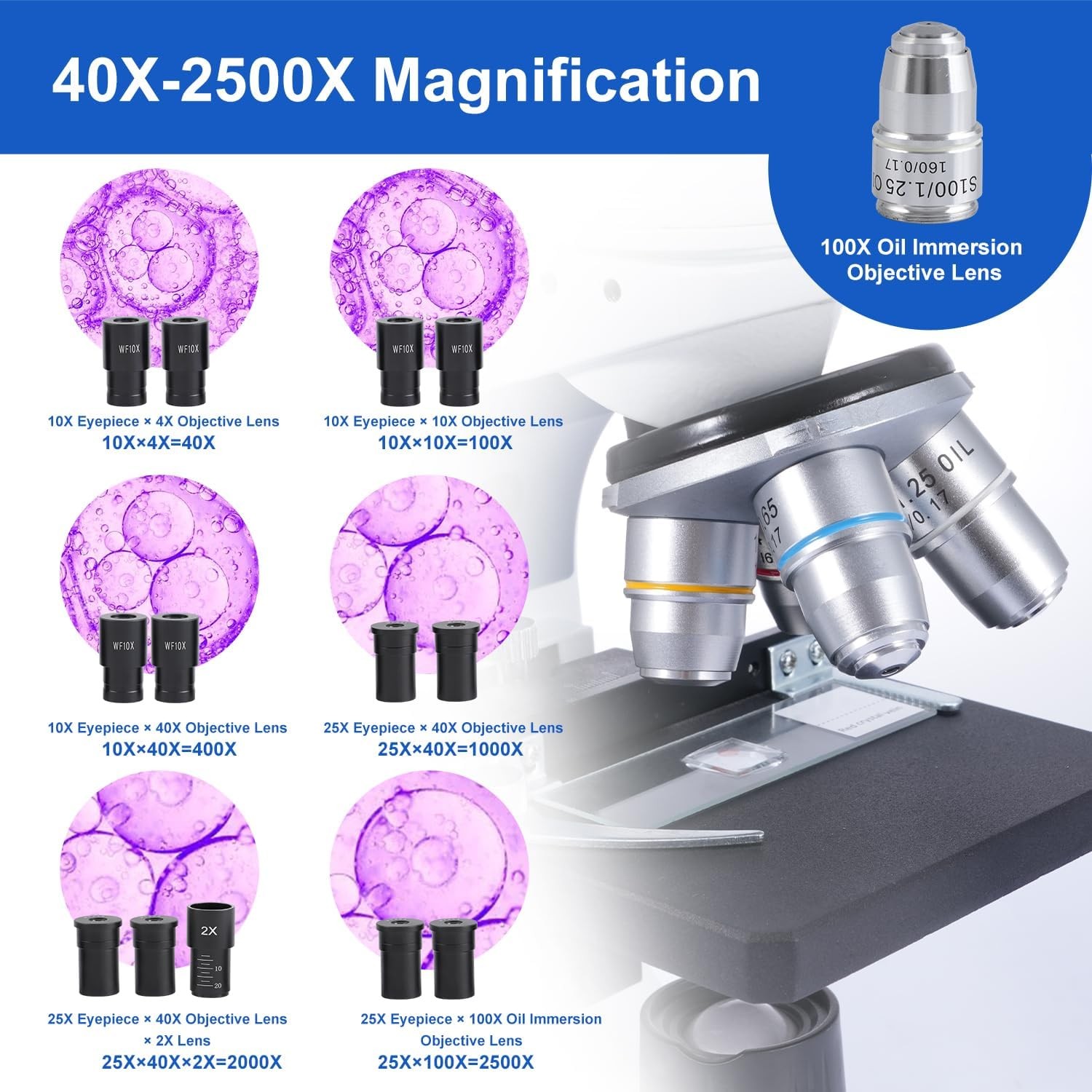 Lab Compound Binocular Microscope 40X-2500X Two-Layer Mechanical Stage LED