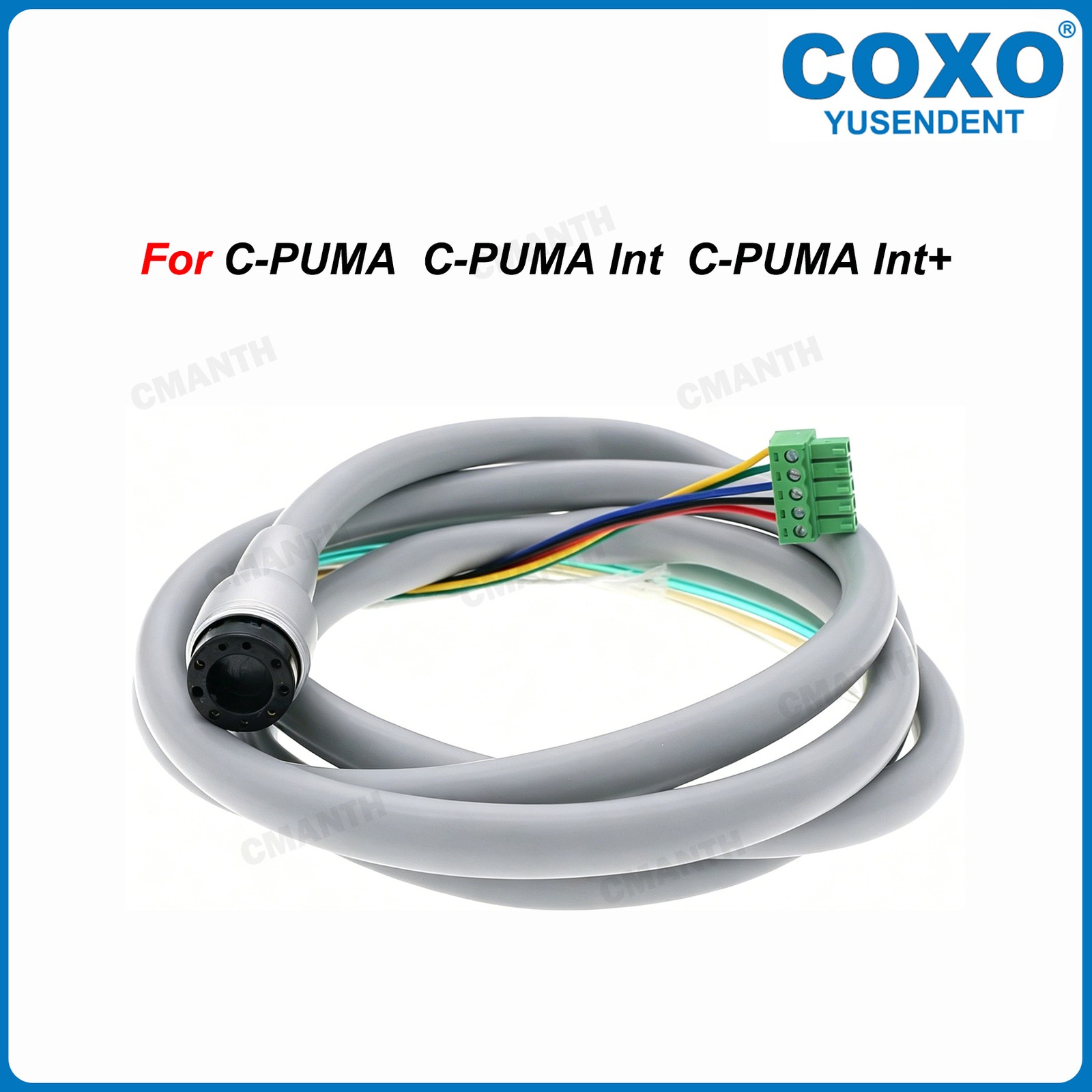 COXO Dental Electric LED Micro Motor Built-in Replace Micromotor For C-PUMA Int+