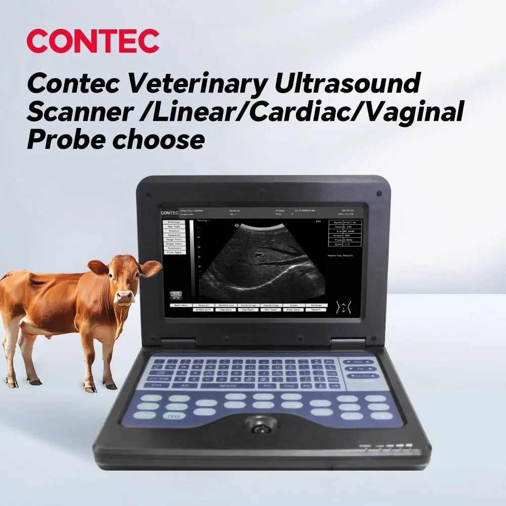 Portable Laptop Veterinary Ultrasound Machine 10″ Screen Pet Scanner