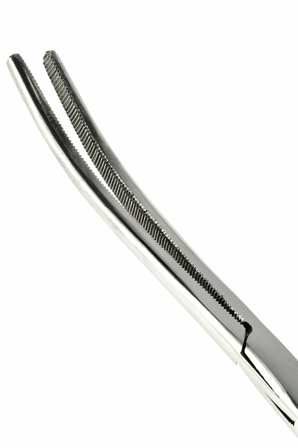 10″ Curved Hemostat Forceps Locking Clamps Stainless Steel Surgical Instrument