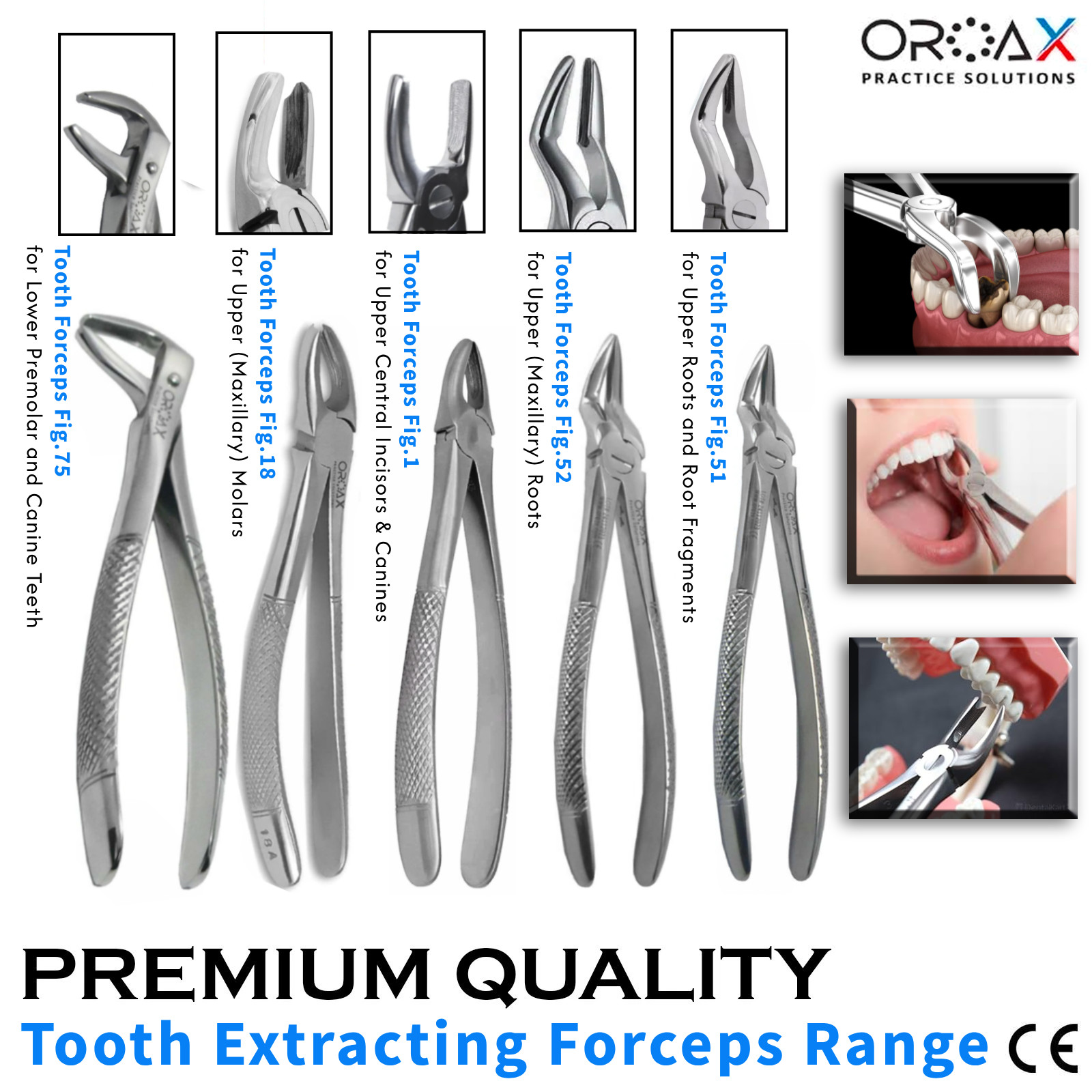 Surgical Extraction Forceps Set Fig 1,51,52,65,75,18A Pinzas Extraccion Dentales