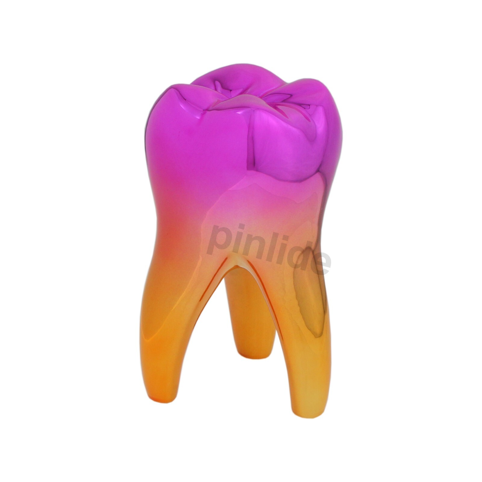 Dental Tooth Model Decor Gifts Tooth Figurine Dentist Hygienist Office Decor
