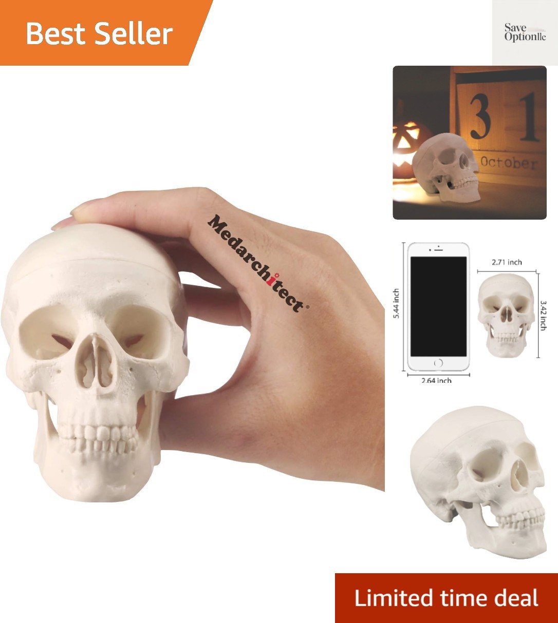 Mini Skull Model Small Size Human Anatomy Skull Model with Moving Jaw and Art…