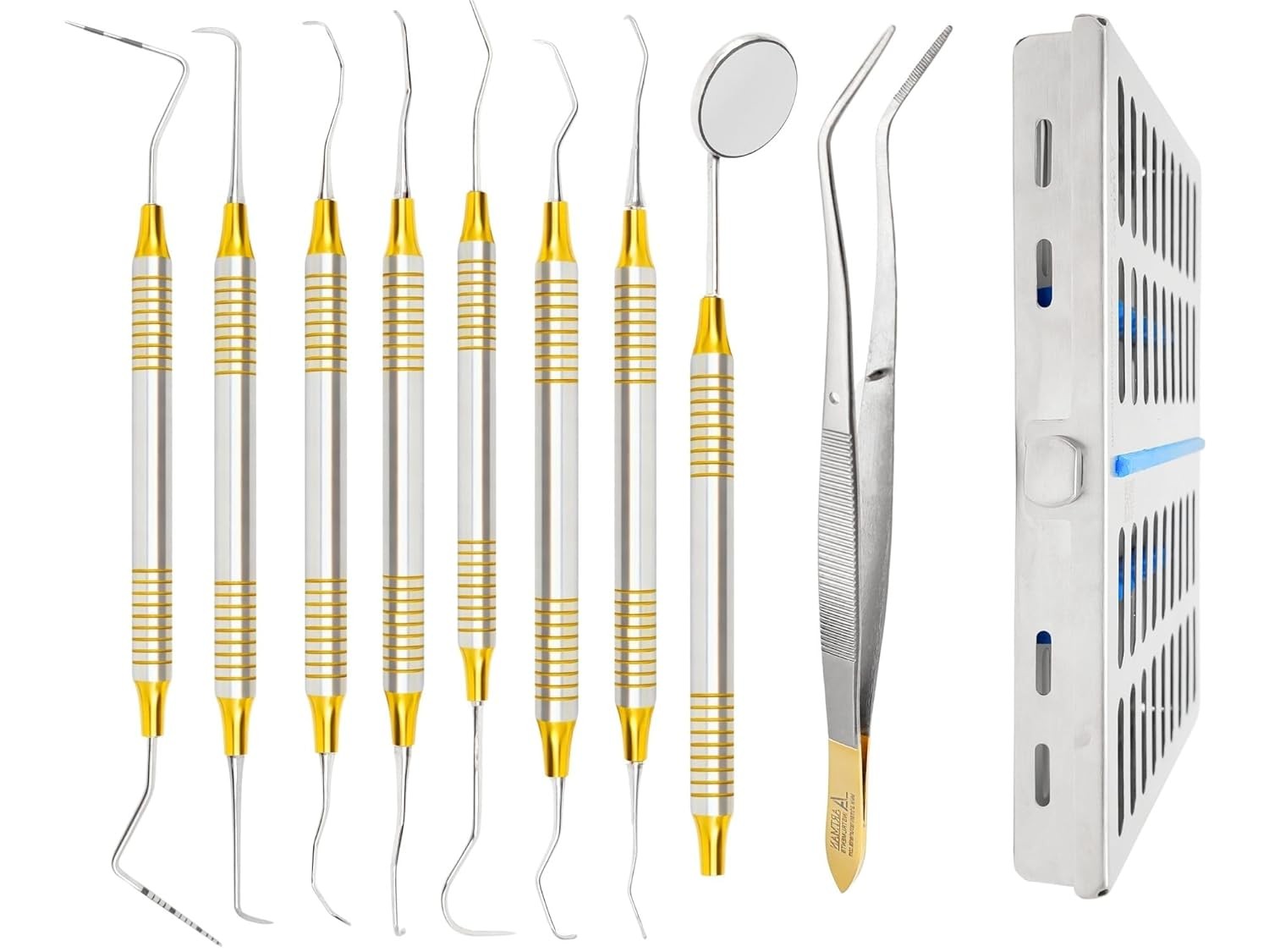 Dental Hygiene Kit 10 Pcs Autoclavable Cassette