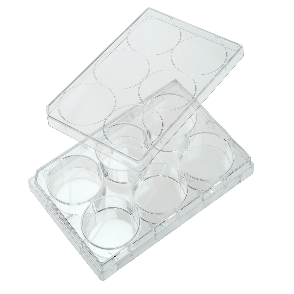 CELLTREAT 6 Well Non-treated Plate with Lid, Individual 100/Case Sterile #229506
