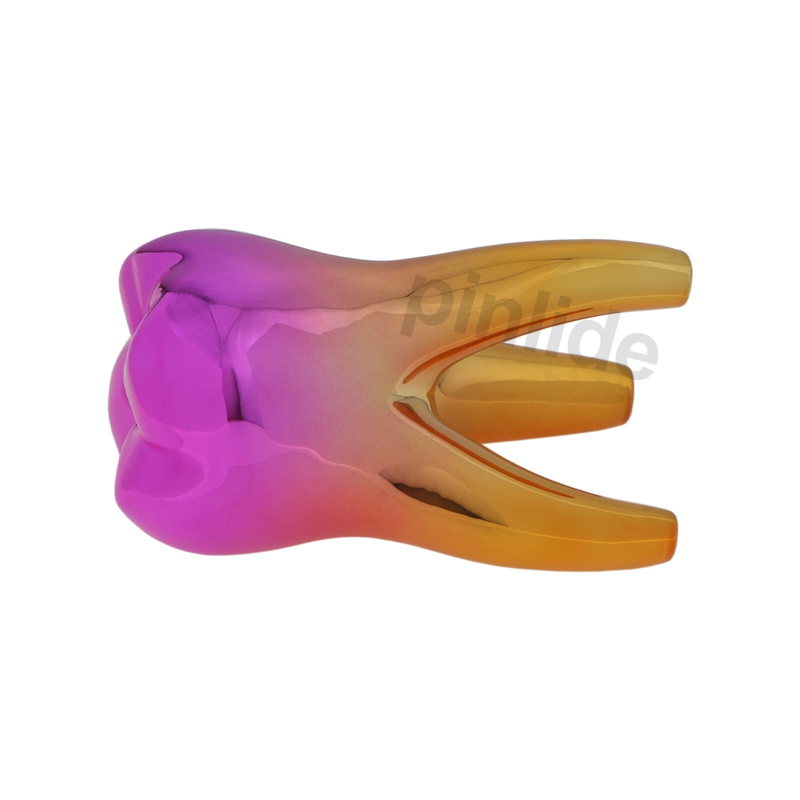 Dental Tooth Model Decor Gifts Tooth Figurine Dentist Hygienist Office Decor