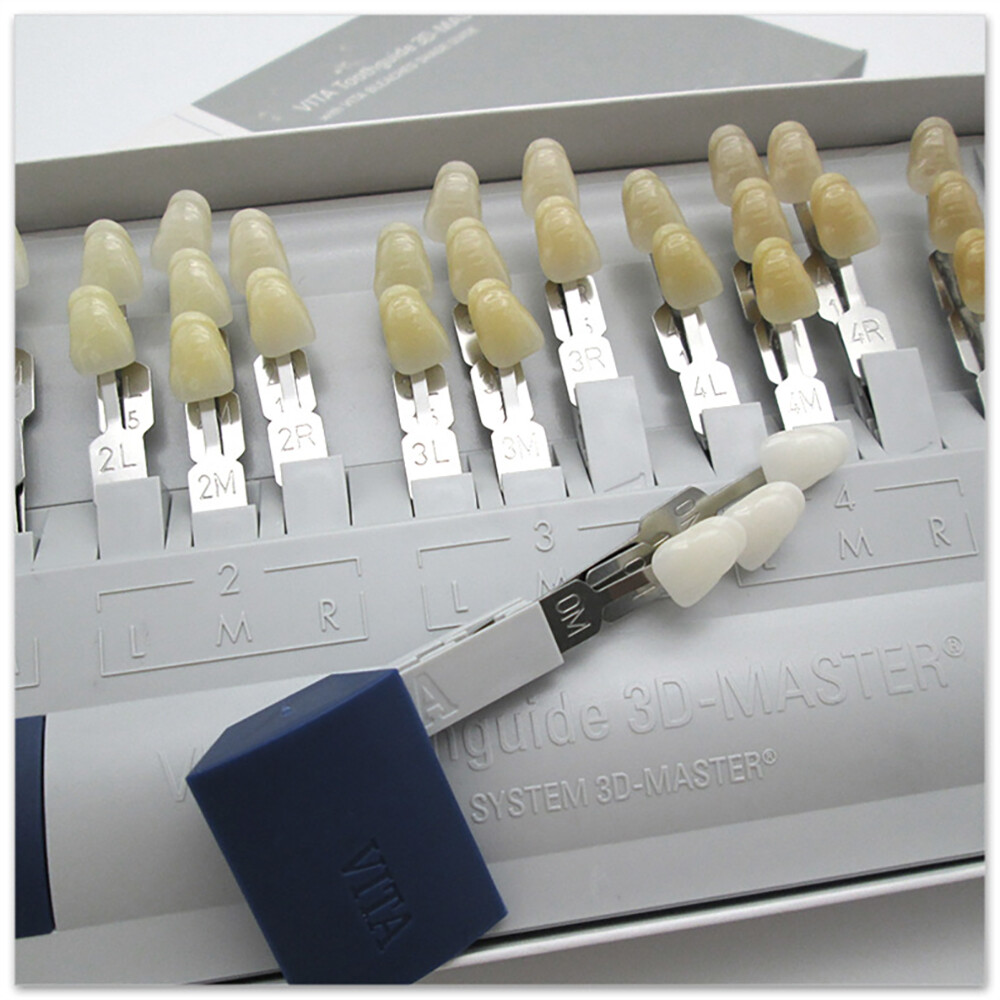 VITA Dental Toothguide 3D Master Resin 29 Colors With Bleached Shade Guide