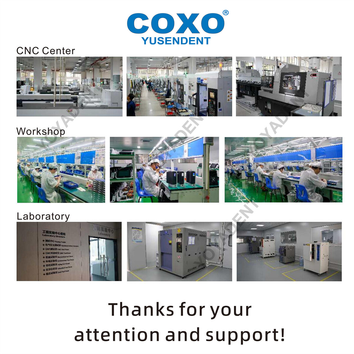 COXO Dental Turbine Fiber Optic High Speed Handpiece LED Coupler 6 Pin Fit KAVO