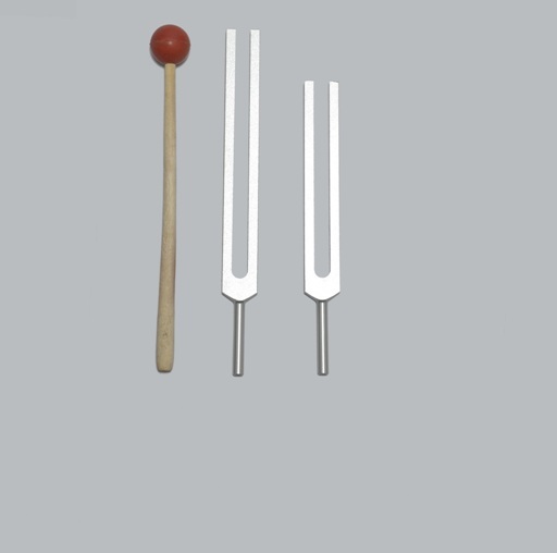 Cellulite Fat Weight Reduction Tuning forks +Mallet for Sound Healing Therapy