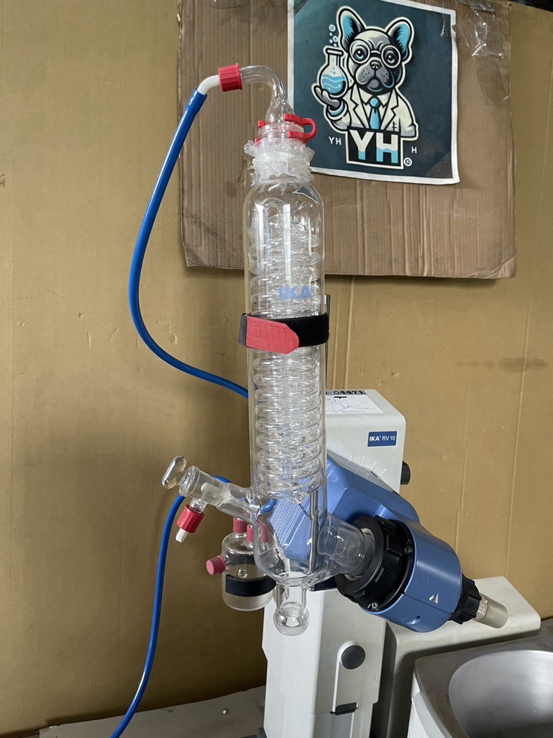 IKA RV 10 Control Rotary Evaporator w HB10 Bath Tested Working