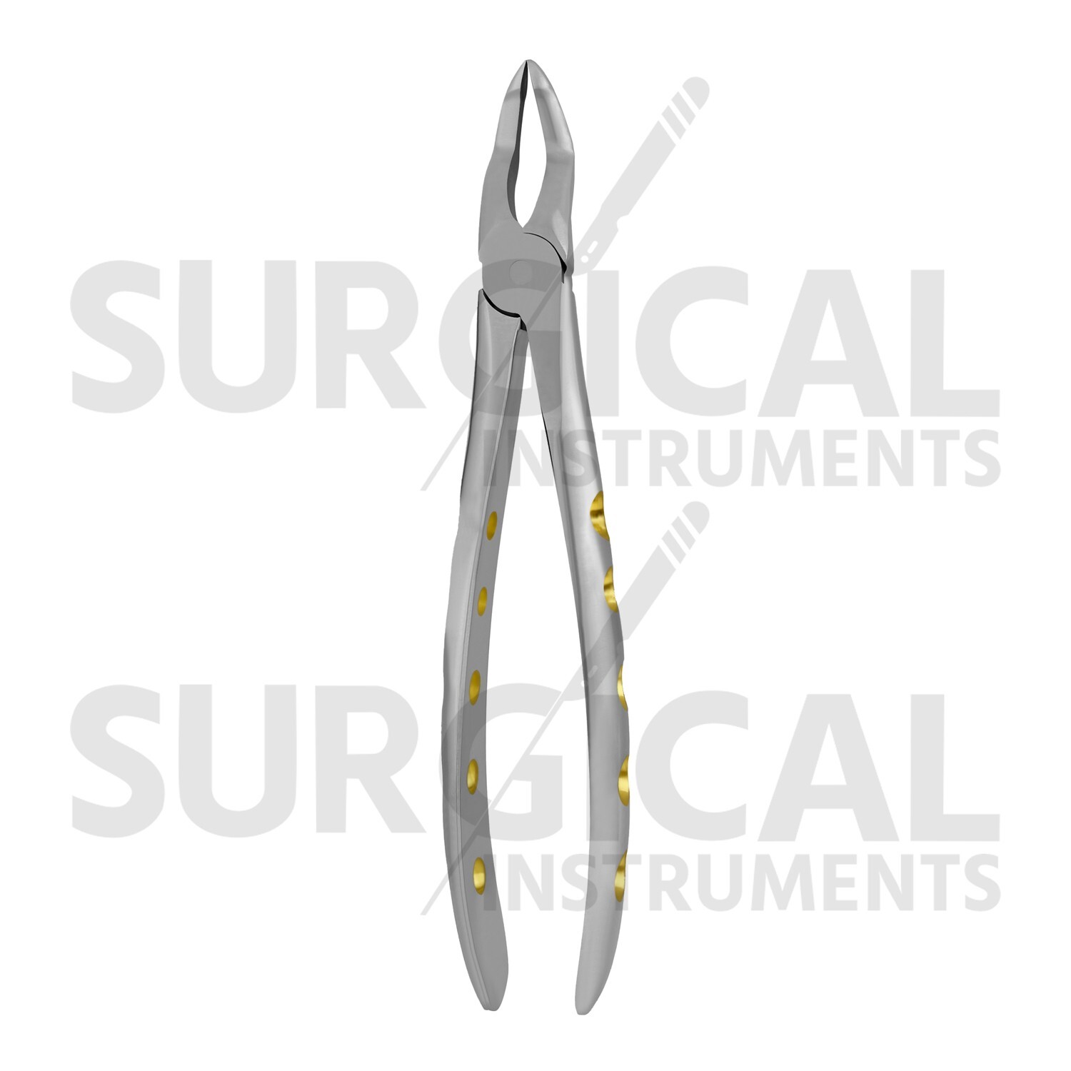 Heavy Duty Extraction Forceps #51Z – Gold Hollow Python Grip Handle German Grade