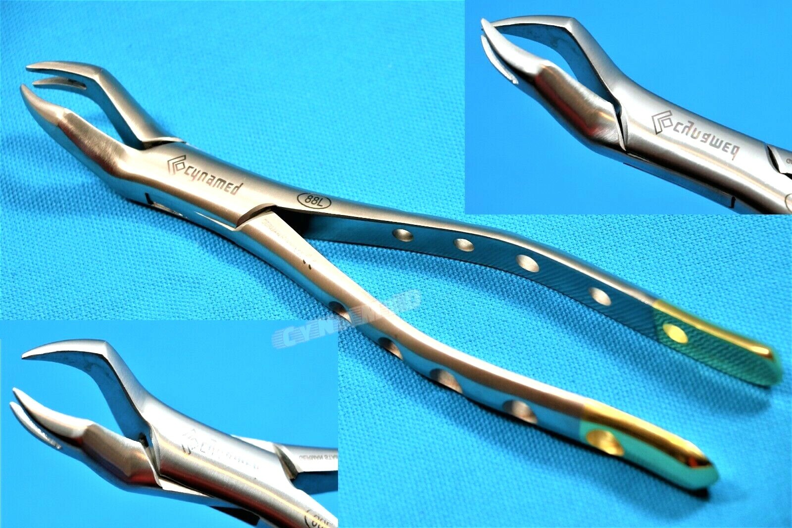GERMAN Heavy Duty Stainless Extraction Forceps #88L – Gold Hollow Grip Handle