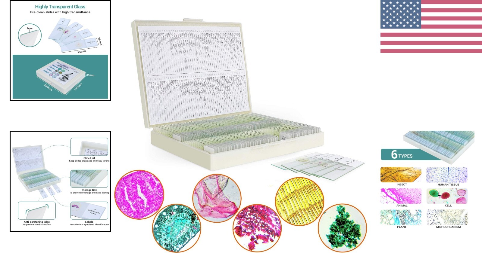 High-Quality Glass Microscope Slides with 100 Various Specimens – Kids & Adults