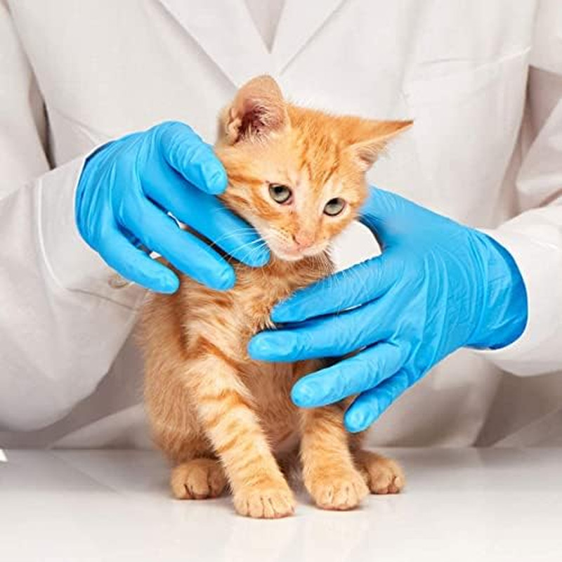 Basic Medical Blue Nitrile Exam Gloves – Latex-Free & Powder-Free – NGPF 7002 (C