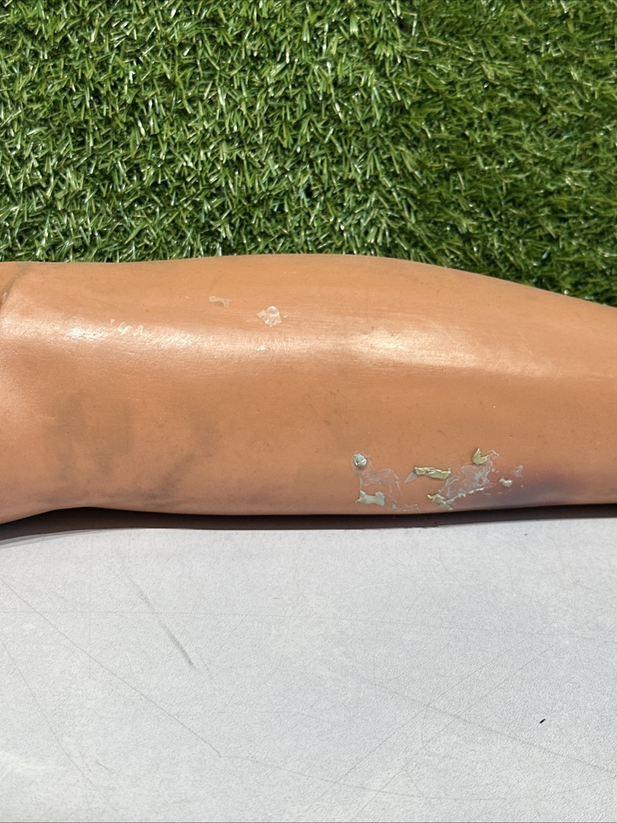 Calf; Rt-Adlt-STD – Laerdal 300-03050