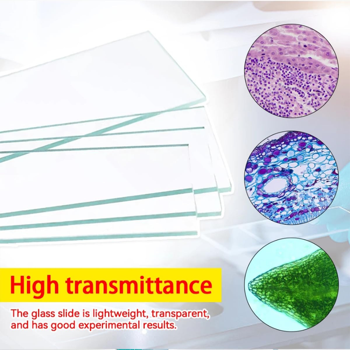 Microscope Slides and Covers – 50 Blank Glass Slides for Microscope with 100 Cov
