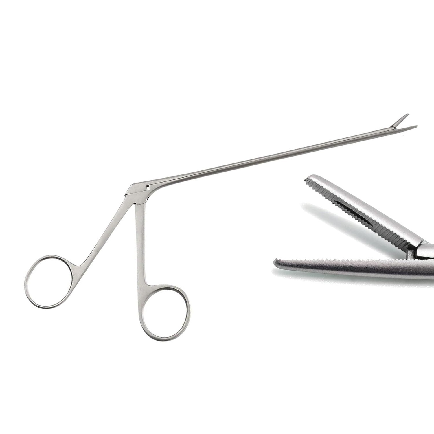 PRECISE CANADA 12″ Alligator Forceps Stainless Steel