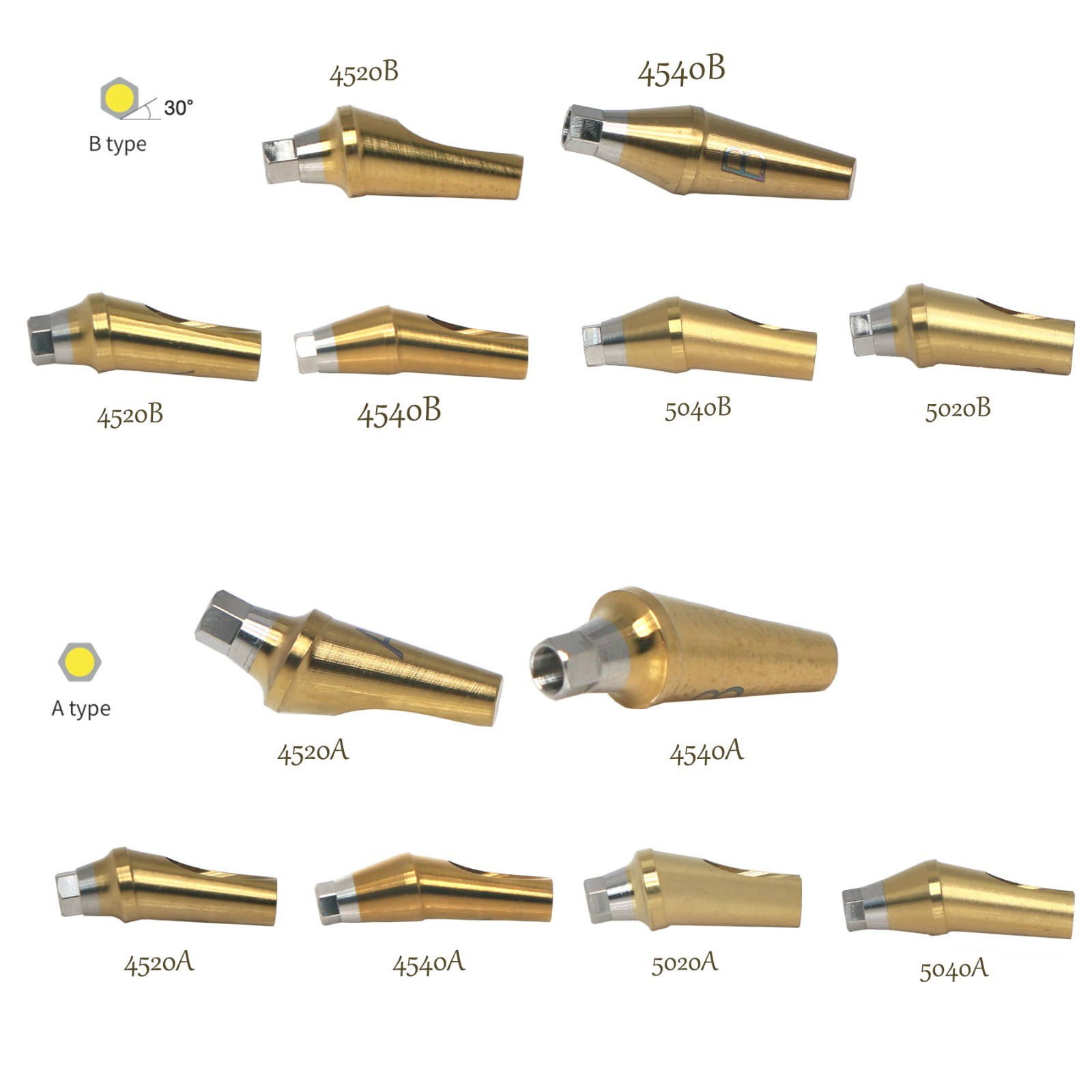 US Dental Mini/Regular Anatomic Abutment Angled 17° Abutment For Hiossen ET