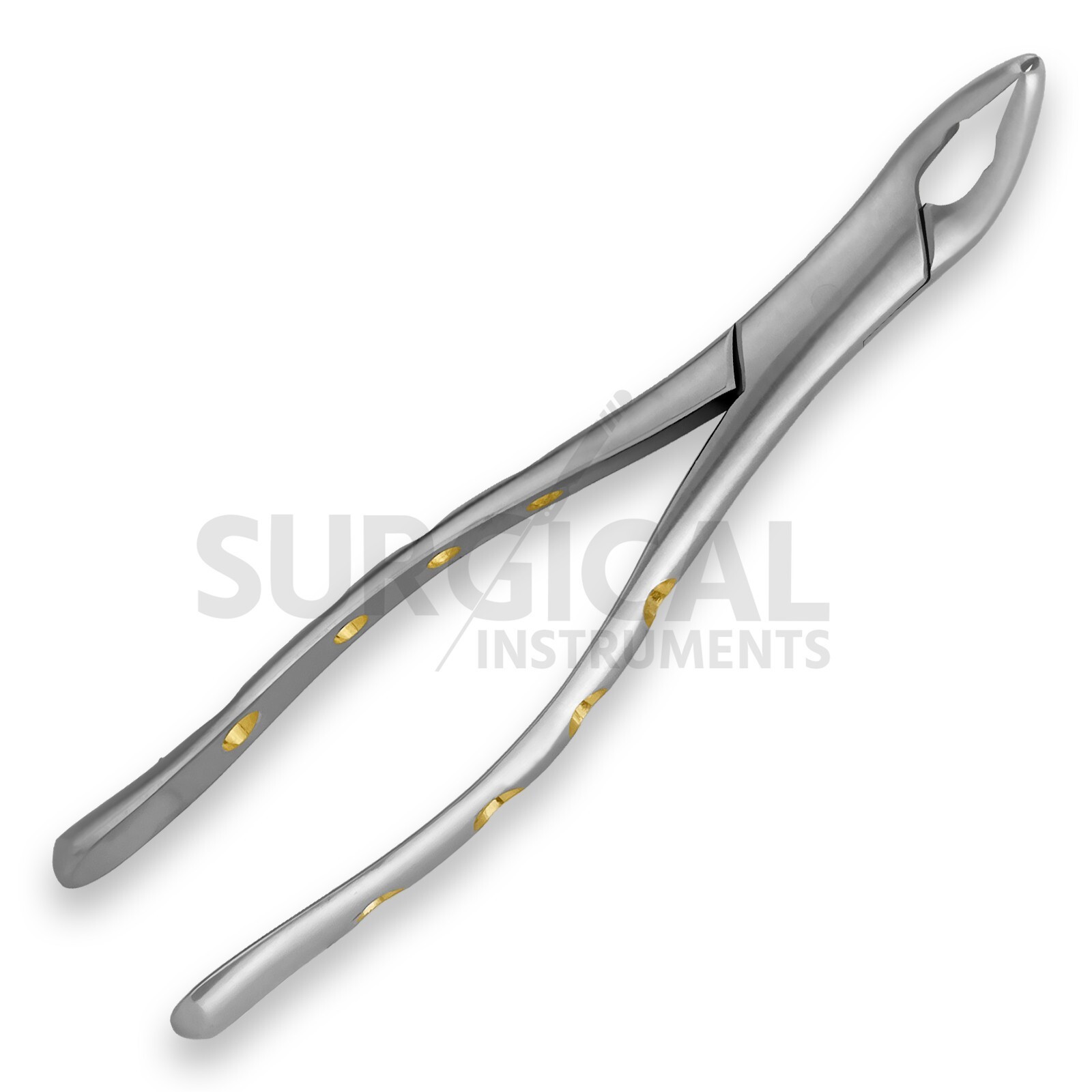 Heavy Duty Extraction Forcep #151 Gold Hollow Python Grip German Grade Pattern-2