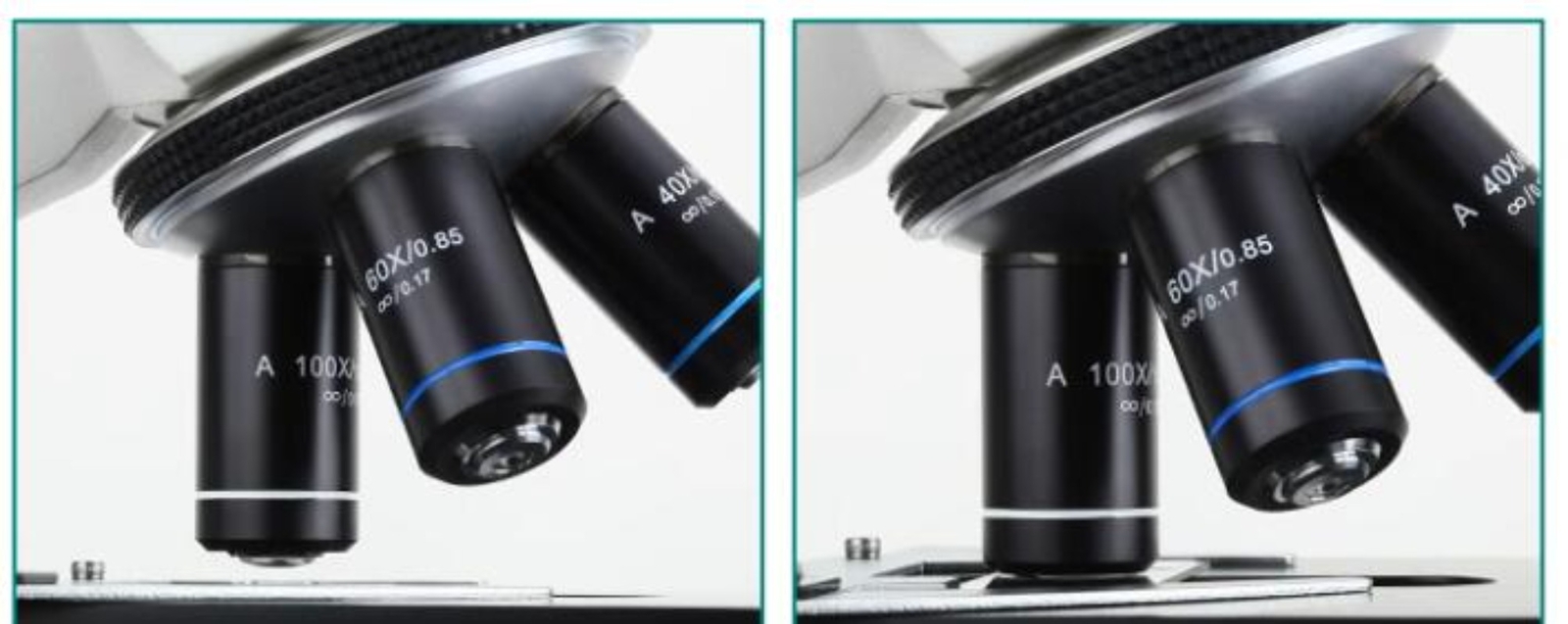 Infinity Objective Lens RMS Thread f Olympus Microscope 4X 10X 20X 40X 60X 100X