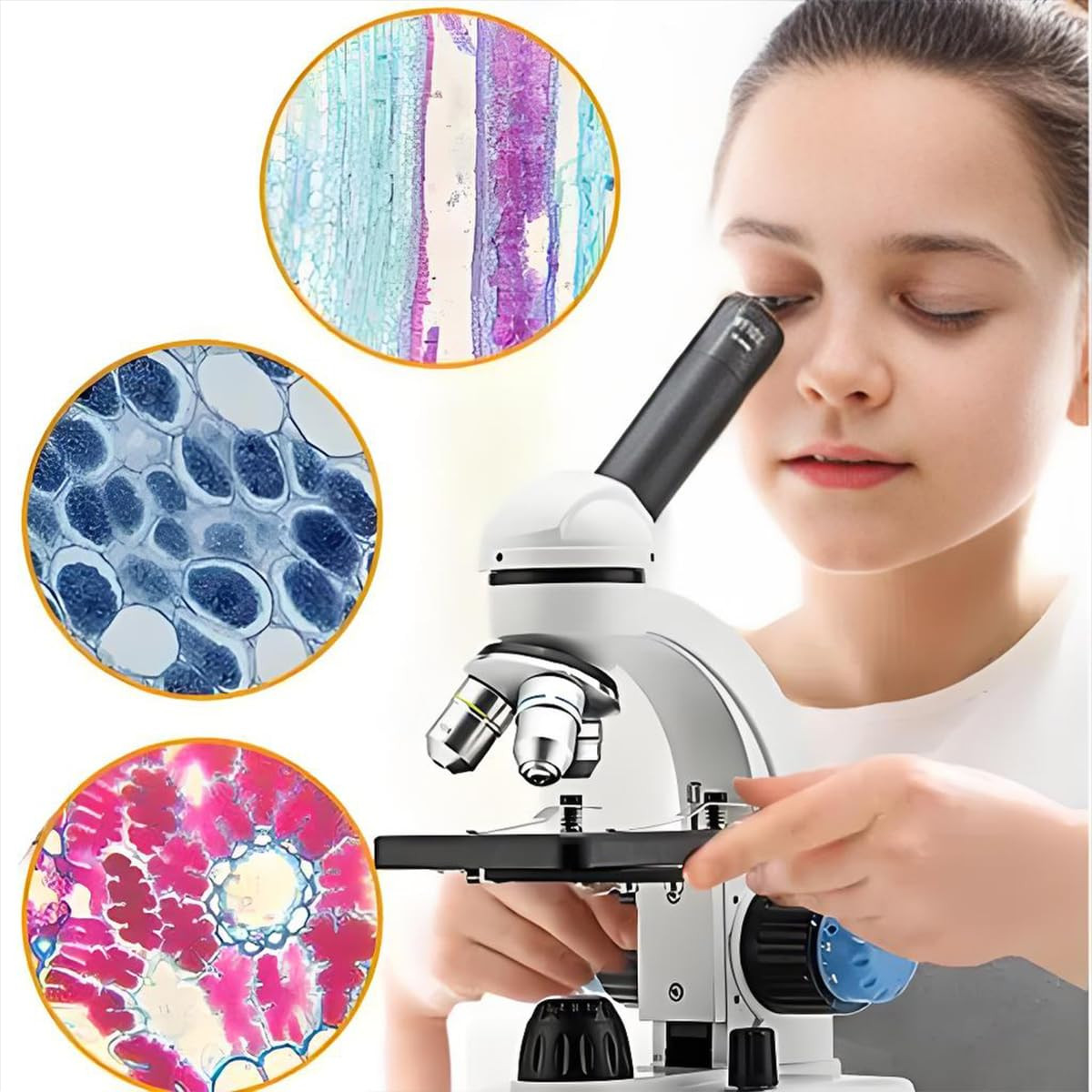 Microscope Slides and Covers – 50 Blank Glass Slides for Microscope with 100 Cov