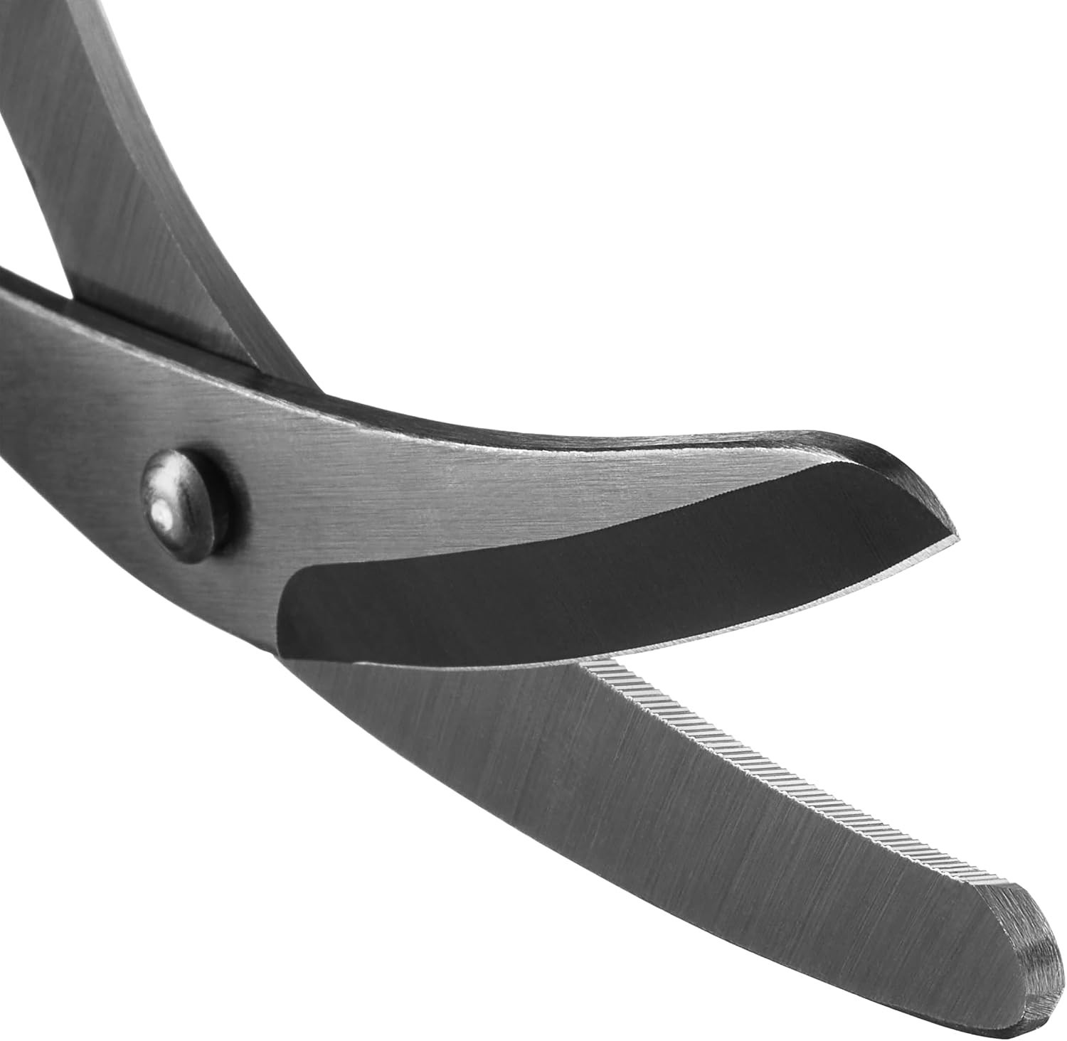 Razor Sharp Nurse’s Shears – Wound Care ICU