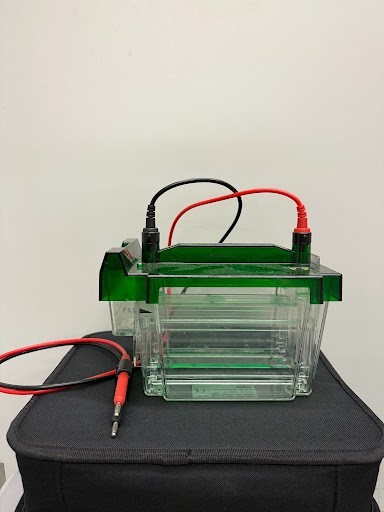 Bio-Rad Criterion Cell
