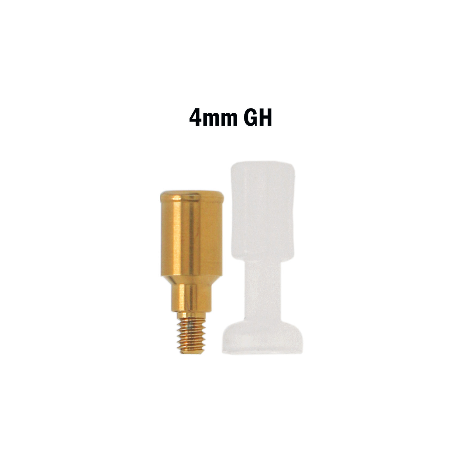 US Zimmer Screw-Vent 3.5 Overdenture Abutment Locator Male Cap Inserts Core Tool