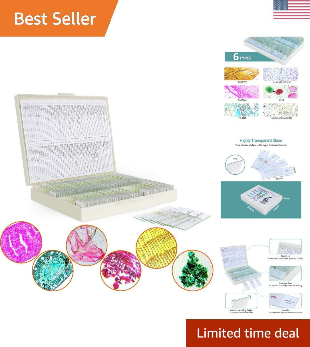 High-Quality Glass Microscope Slides with 100 Various Specimens – Kids & Adults