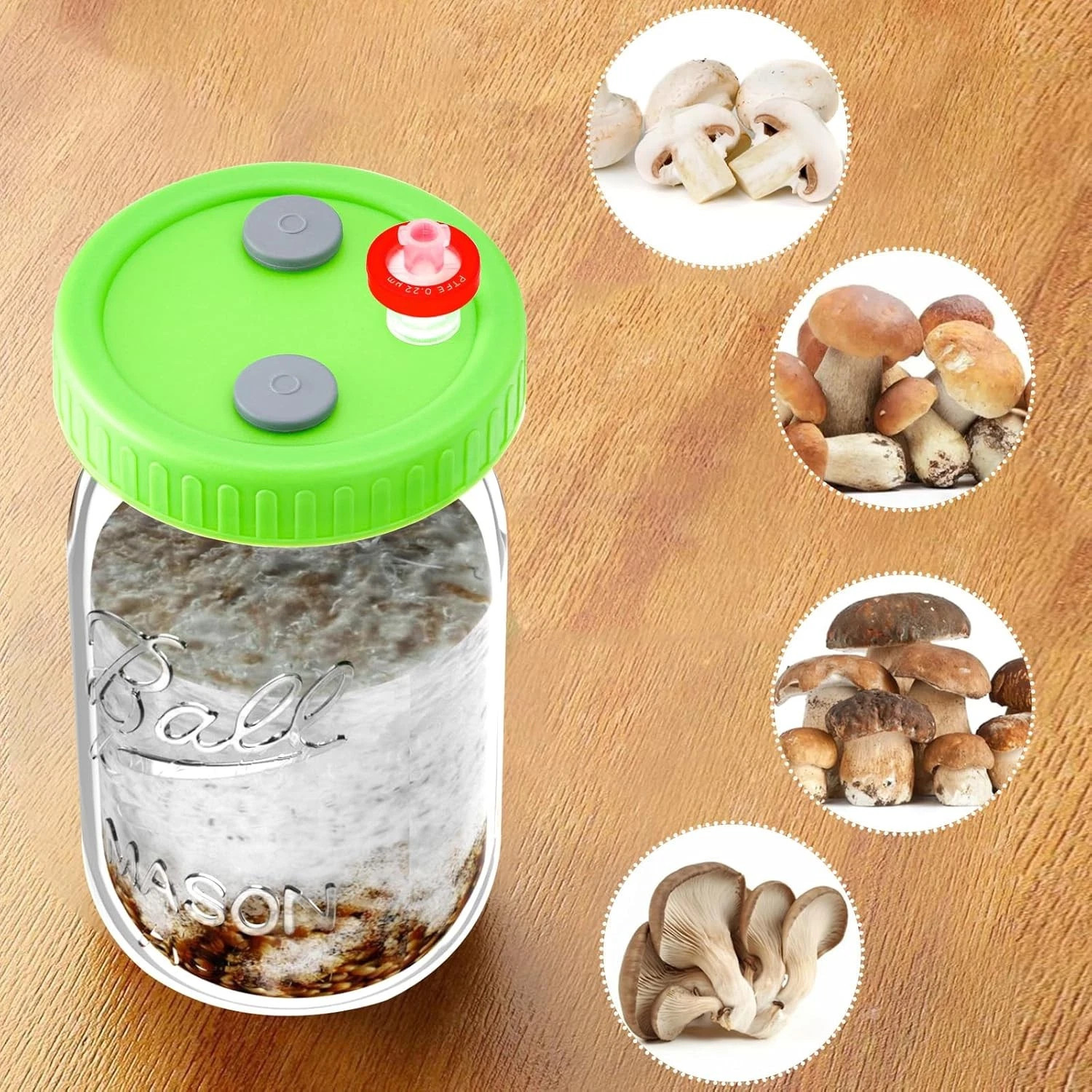 Mason Jar Lid Needle filter Lliquid Culture Lid with Tubing Mushroom growing Lid
