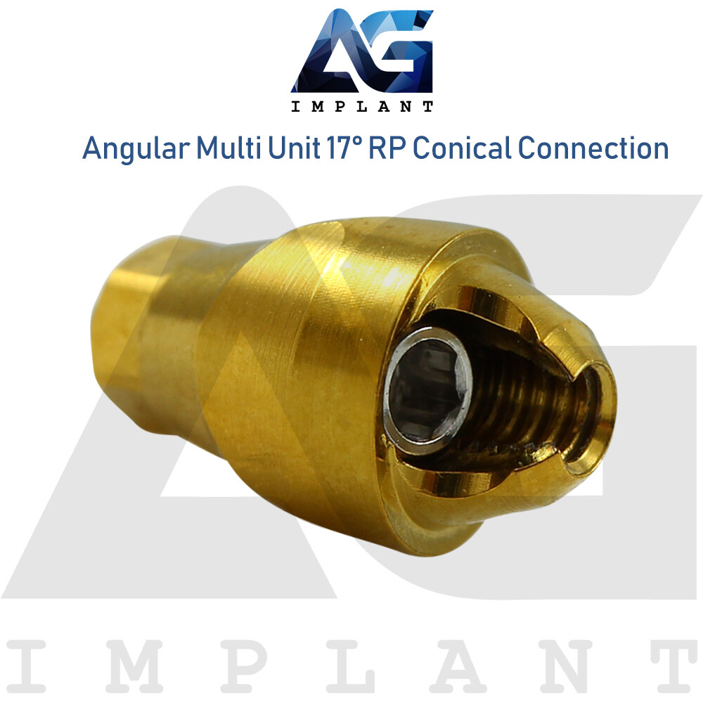 10 Angular Multi Unit Abutment 17° Conical Connection RP Plastic Set Dental