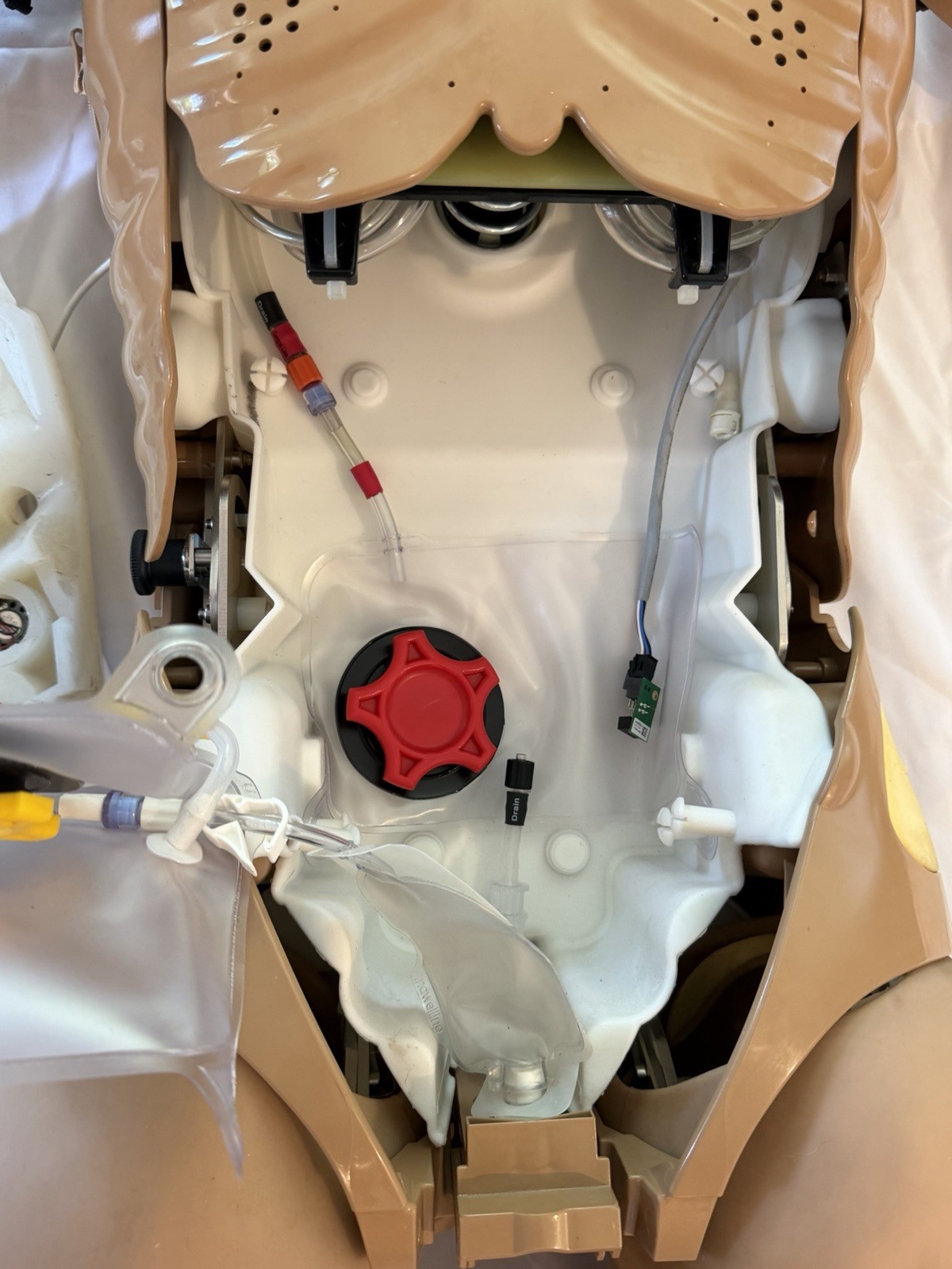 Laerdal Nursing Anne Simulator – 320-05050 – Medical Manikin CPR Airway