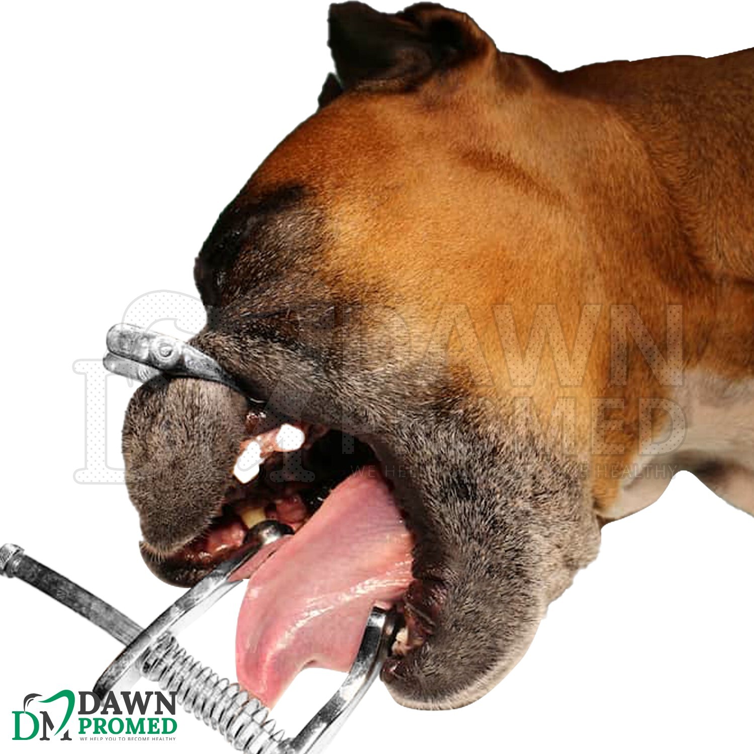 Canine Mouth Gag X-Large 6.5″ Cat Dog Mouth Opening Veterinary Inst German Grade