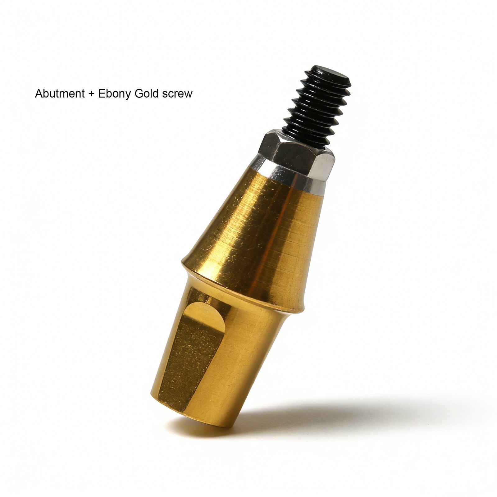 Dental Regular Mini Straight Abutment Hex Cemented W/Central screws fit Hiossen
