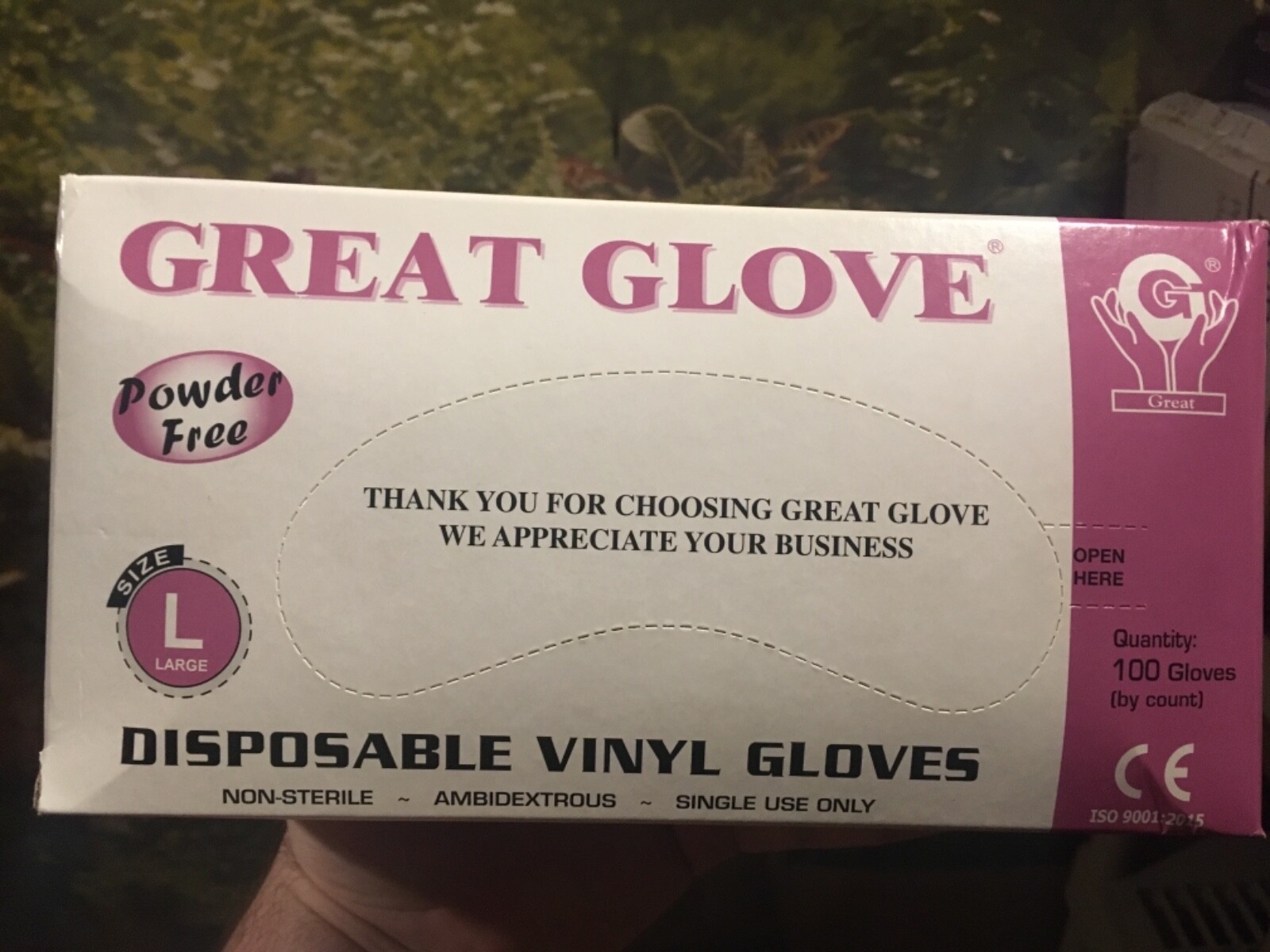 Great Glove 100 Piece Disposable Vinyl Gloves, Powder Free, Size Large