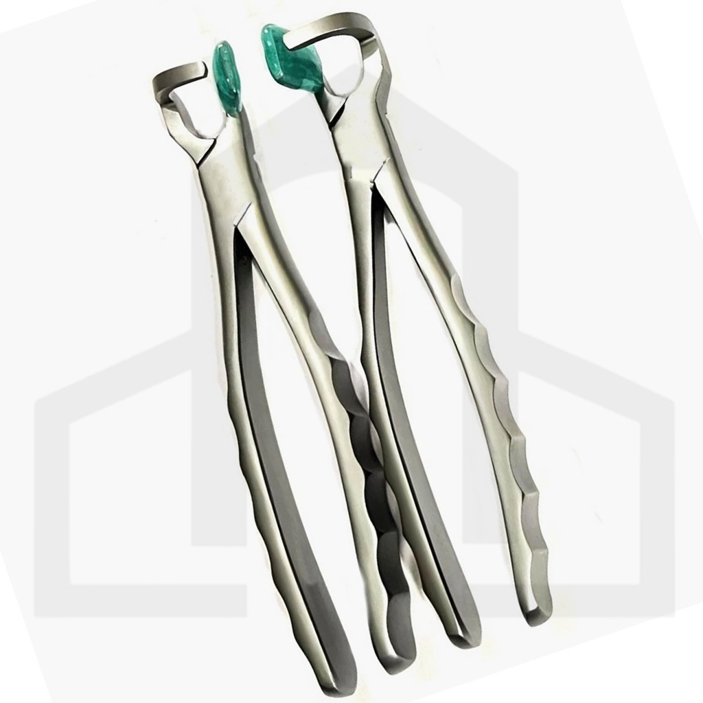 Dental Extraction Forceps Molar Series 2 PCS Set