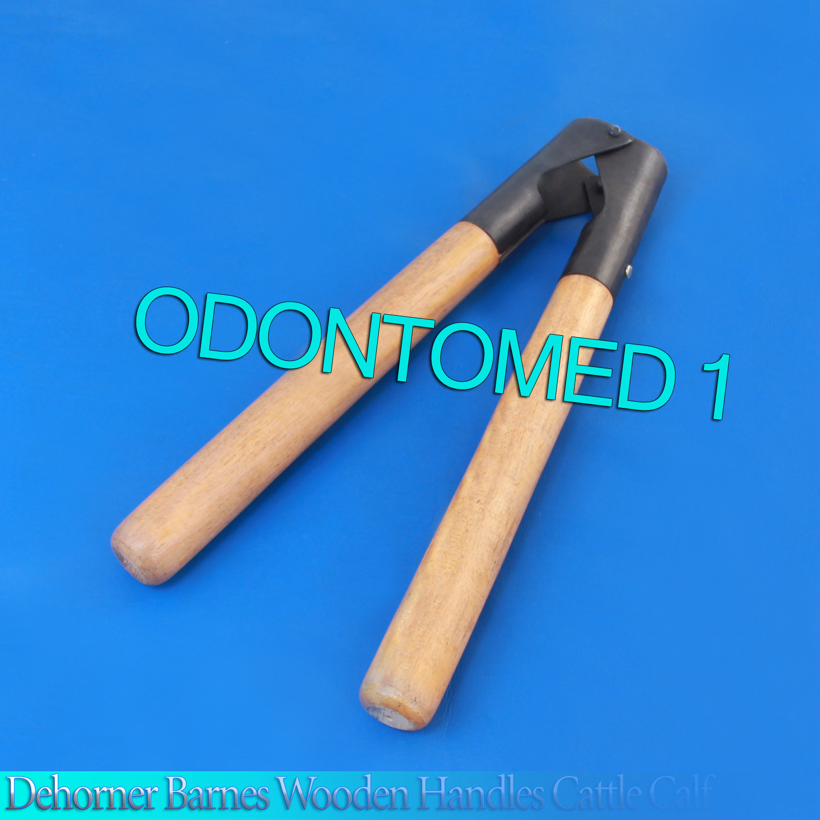 Calf Dehorner Barnes 13 Wood Stainless Steel Veterinary Farming Tool New