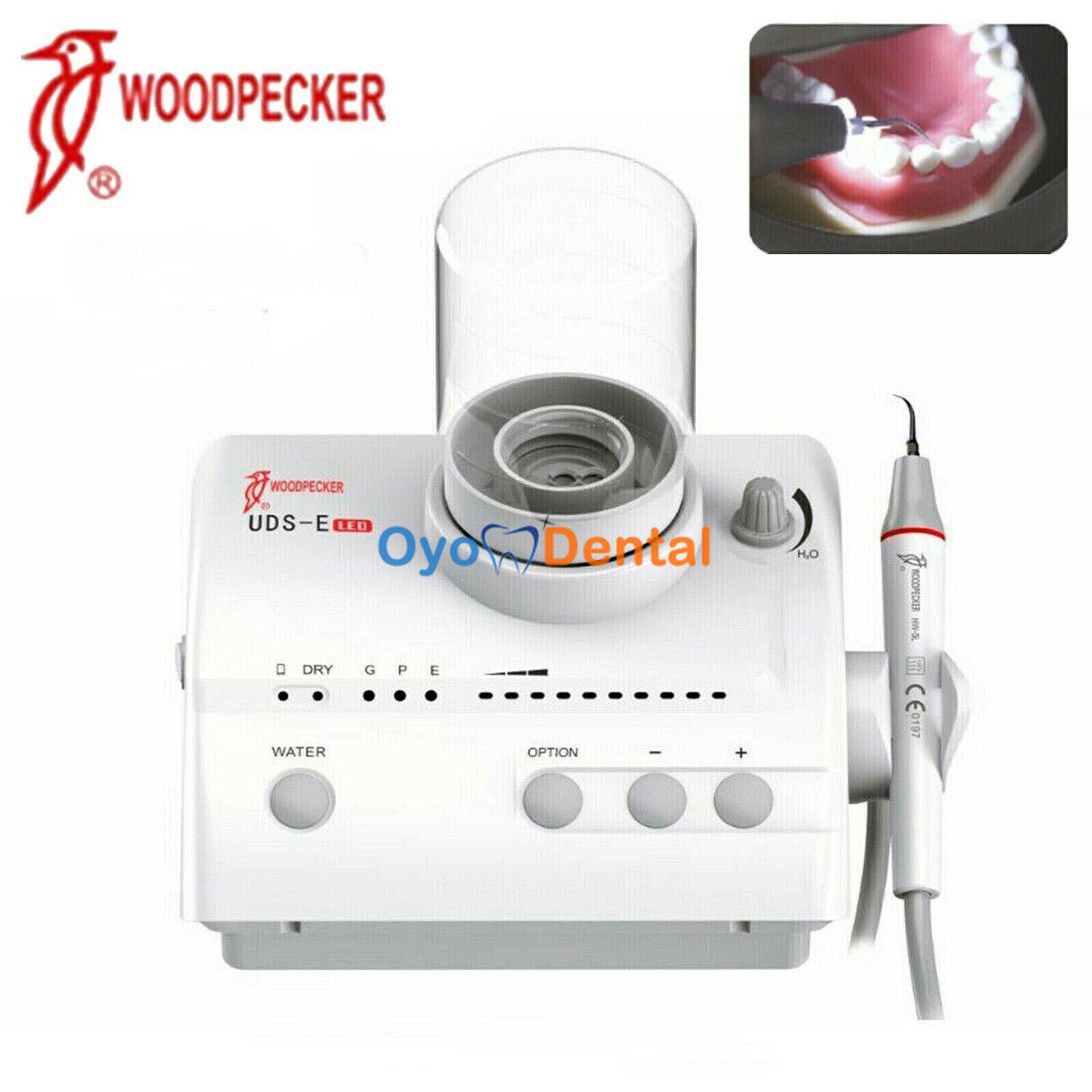 100% Woodpecker UDS-E Dental LED Ultrasonic Piezo Scaler HW-5L Handpiece w/Tips