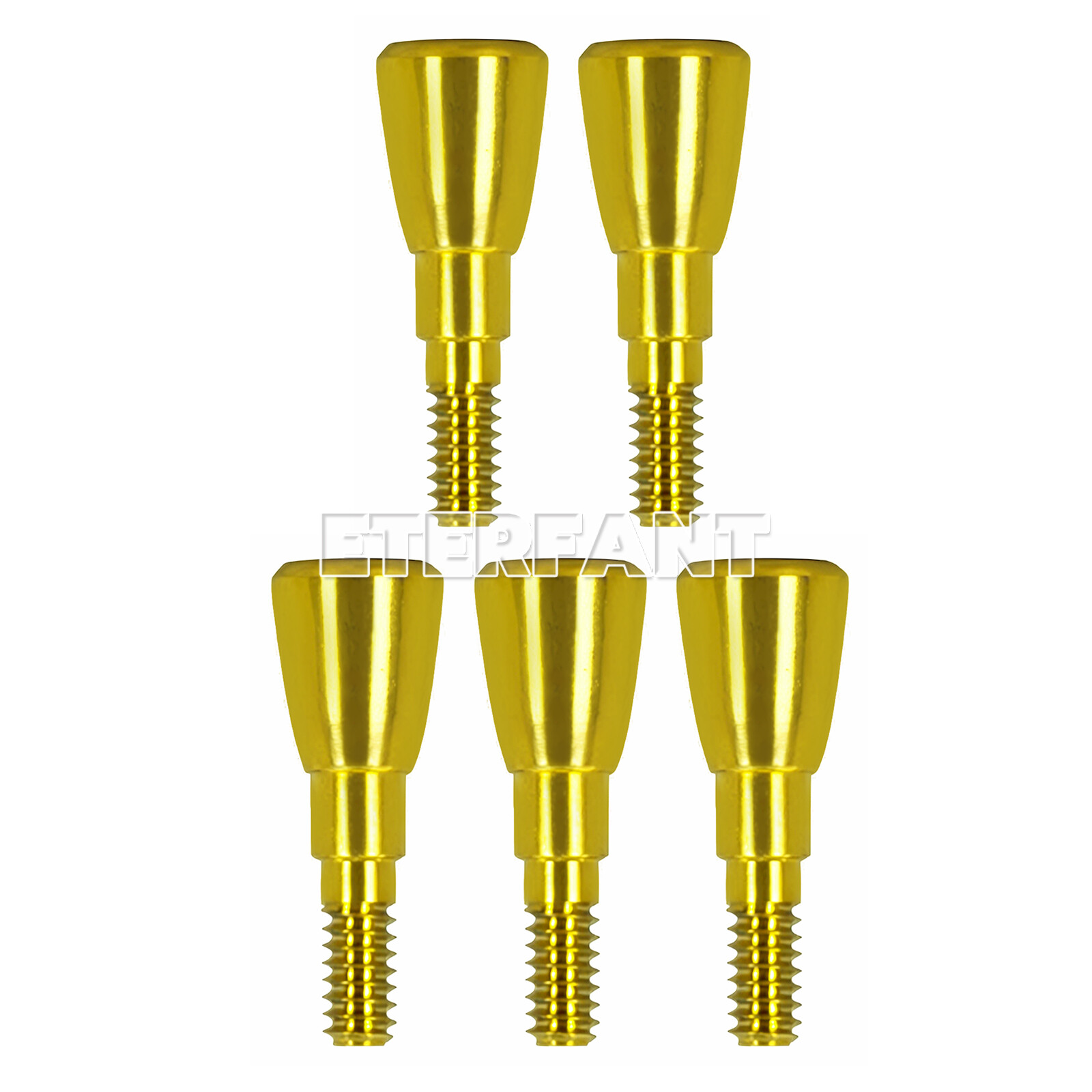Healing Cap Abutments NC/RC Analog Cover Screw Titanium Fit Straumann ITI BLT