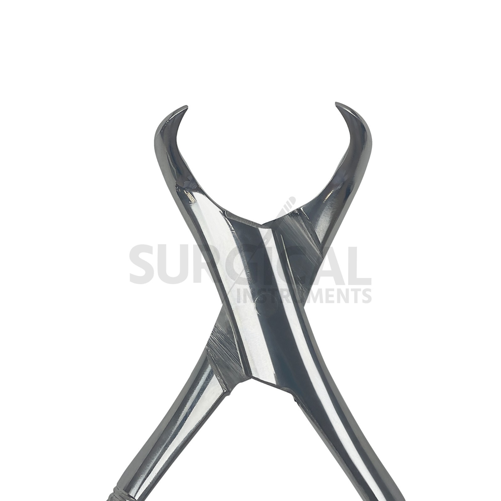 Dental Tooth Extracting Forceps #23 Cow Horn Lower Molar Stainless German Grade